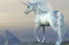 avatar_unicornroll