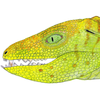 avatar_caipirasuchus