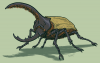 avatar_Hercules beetle