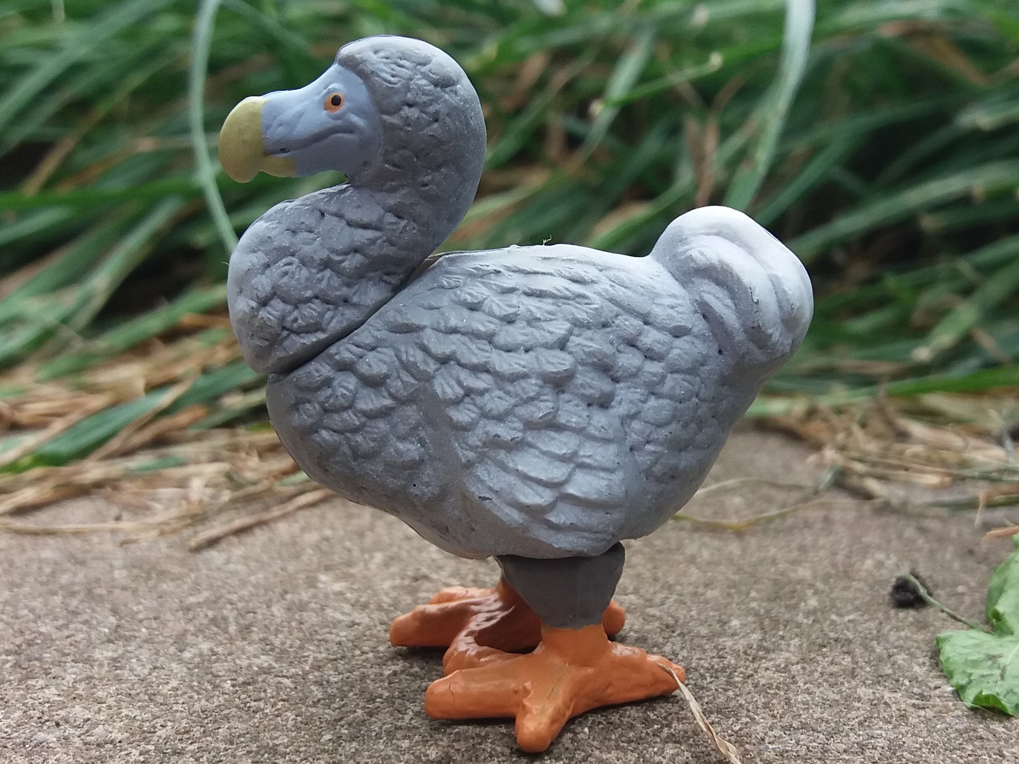 Dodo Egg Lantern