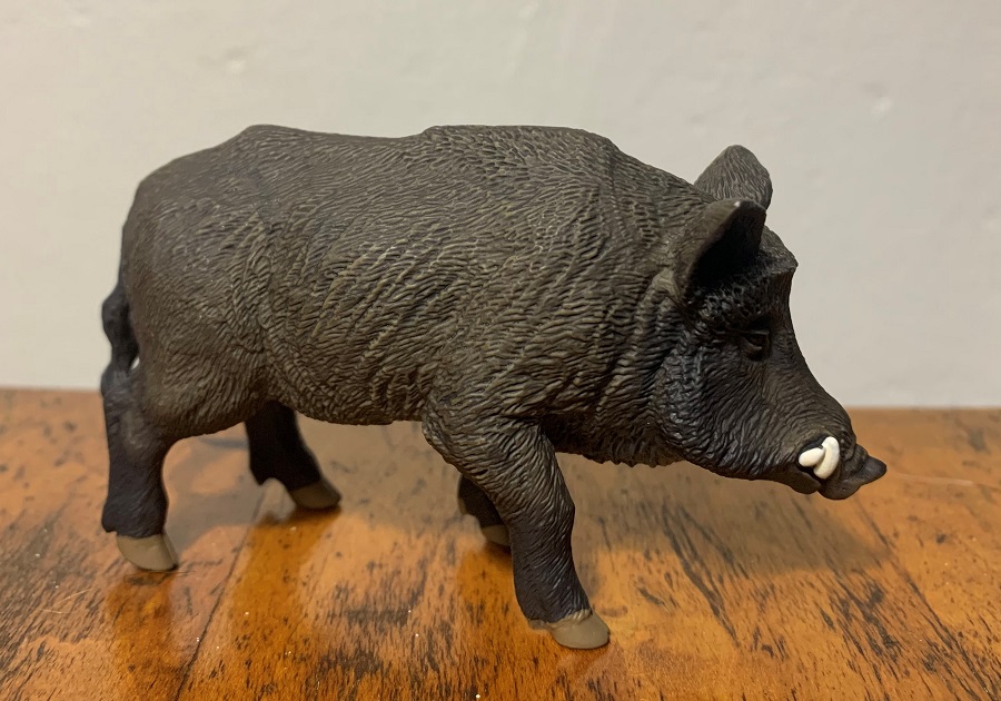 Safari_Wild_Boar_1 – Animal Toy Blog