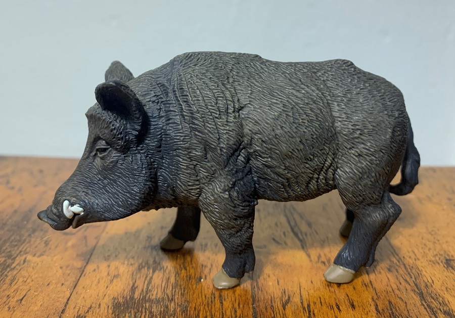 Wild Boar (Wild Safari Wildlife by Safari Ltd.) – Animal Toy Blog
