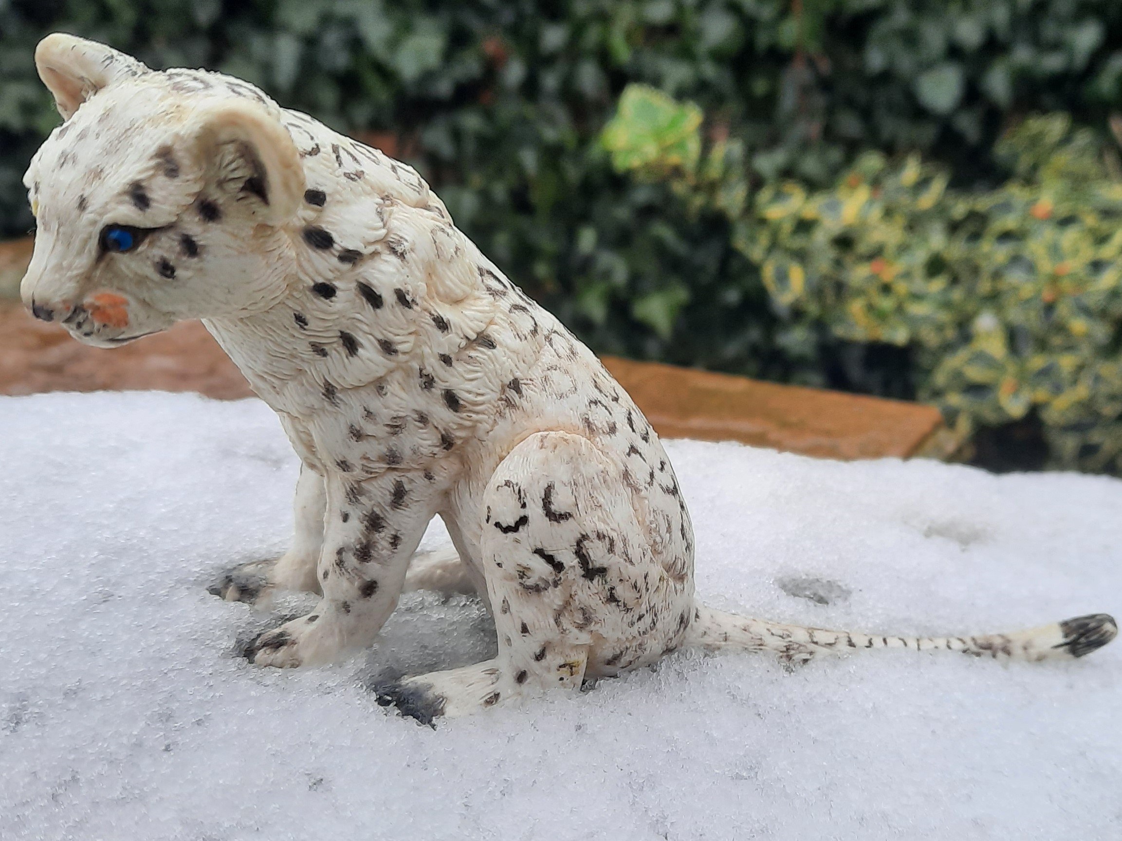 Snow Leopard, youngster (AAA) – Animal Toy Blog