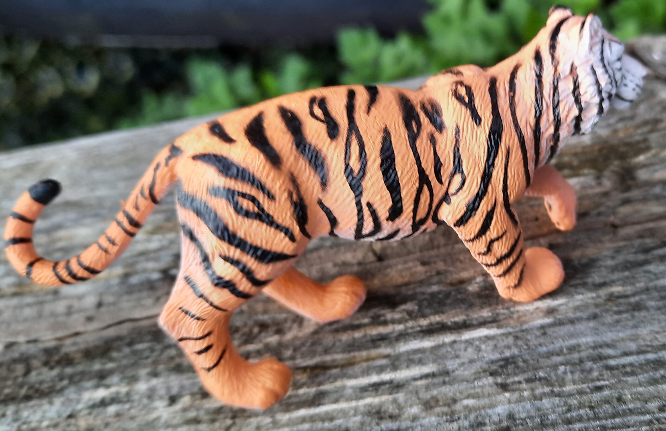 Taylor – Animal Toy Blog