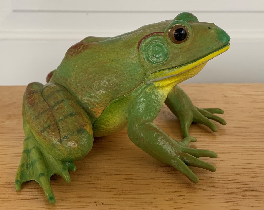American Bullfrog (Incredible Creatures by Safari Ltd.) – Animal 