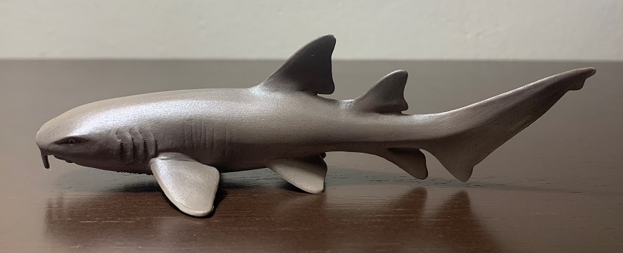 Nurse sales shark toy