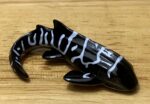 Zebra Shark, juvenile (Wild Water Series by Yowie Group)