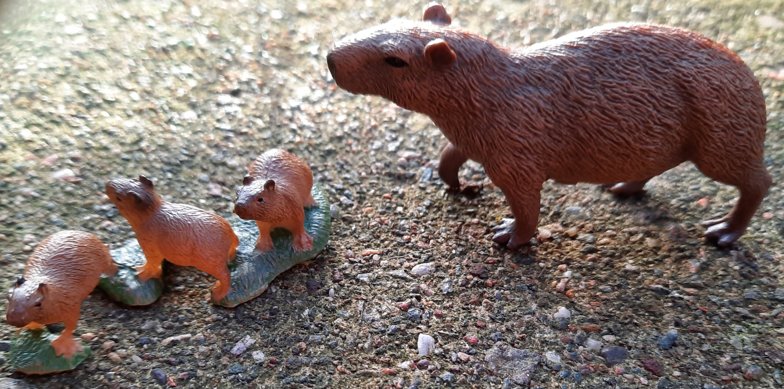 Capybara, adult and babies (Wildlife by CollectA) – Animal Toy Blog