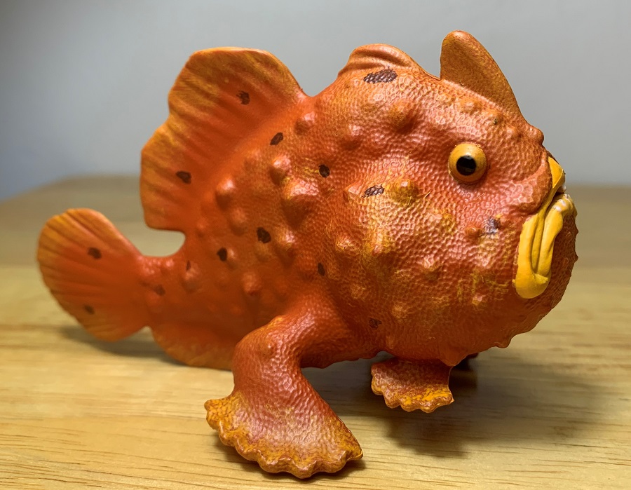Frogfish (Incredible Creatures by Safari Ltd.) – Animal Toy Blog