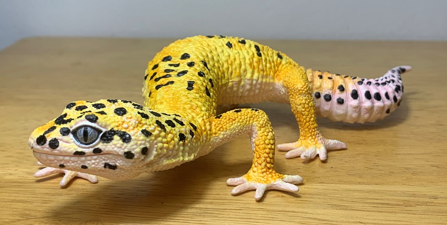 Leopard Gecko (Incredible Creatures by Safari Ltd.) – Animal Toy Blog