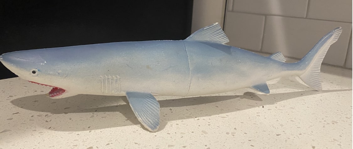 Greenland Shark (True Scale Museum Collection: Sharks by Larami) – Animal  Toy Blog
