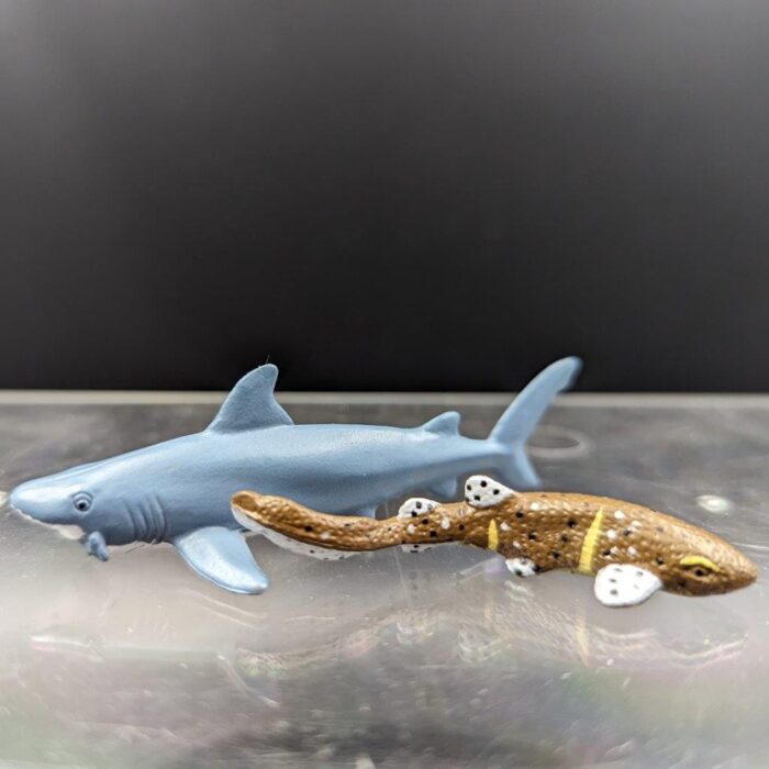 Pictured with the Caribbean reef shark from the same set. It is markedly not as well done. Should have kept the Lemon shark instead.