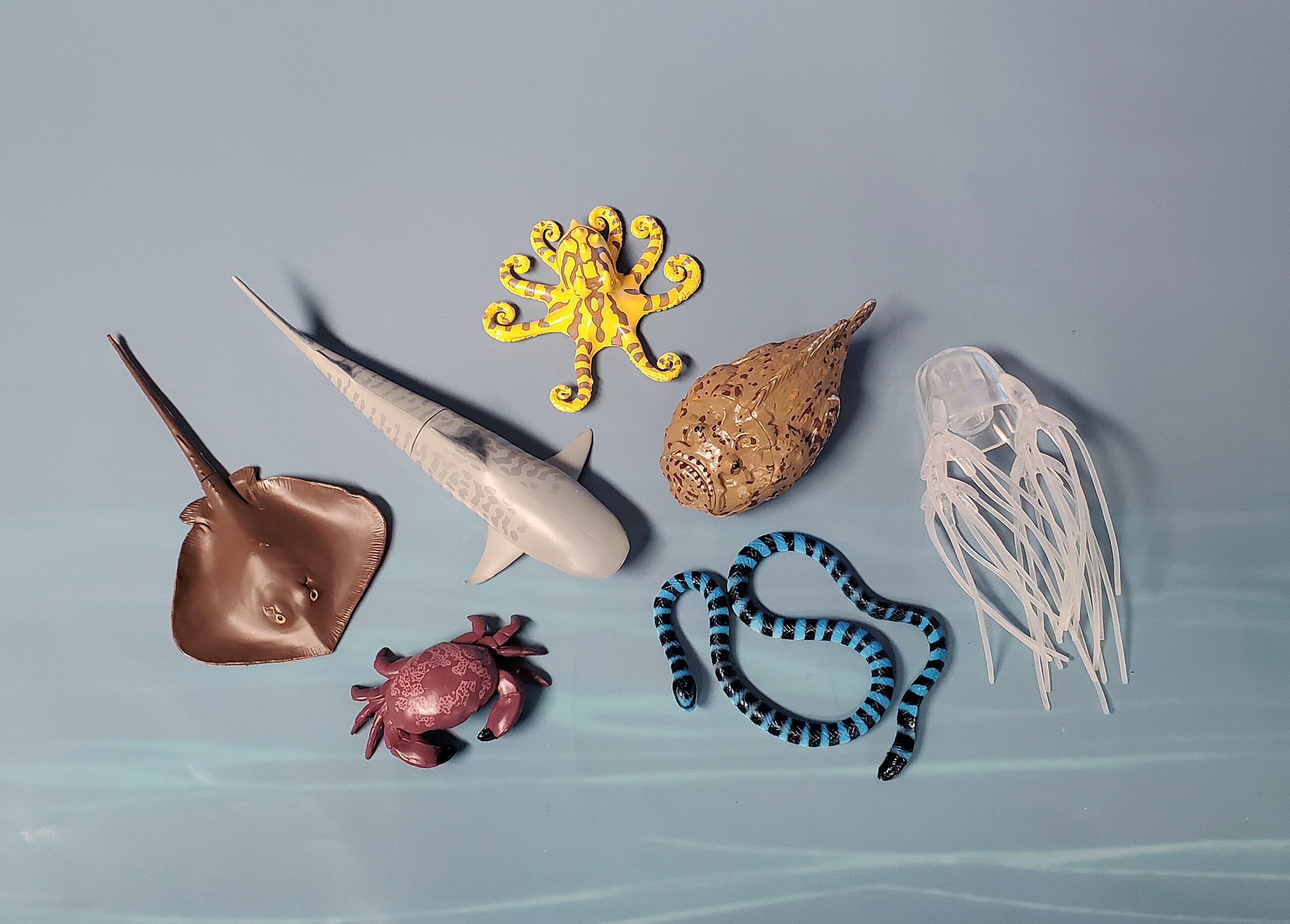 Colorata Deep-Sea Fish Figure Real Fish x 7 Kinds 3D