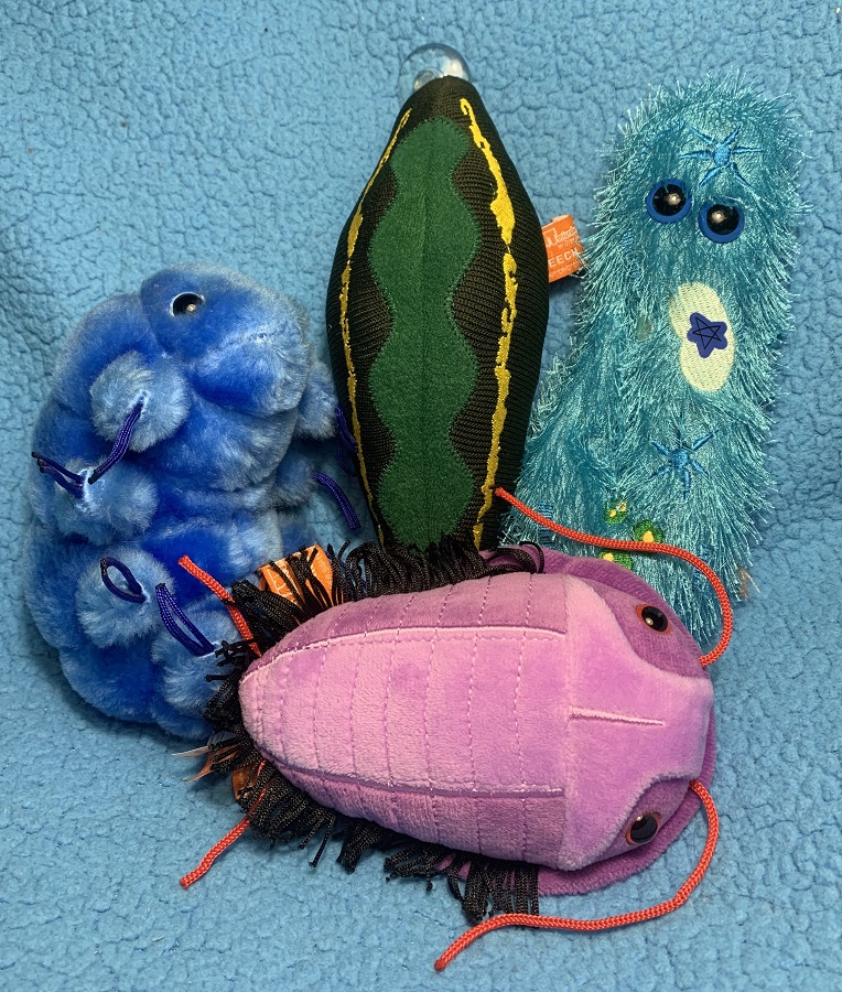 Giant Microbes toys.