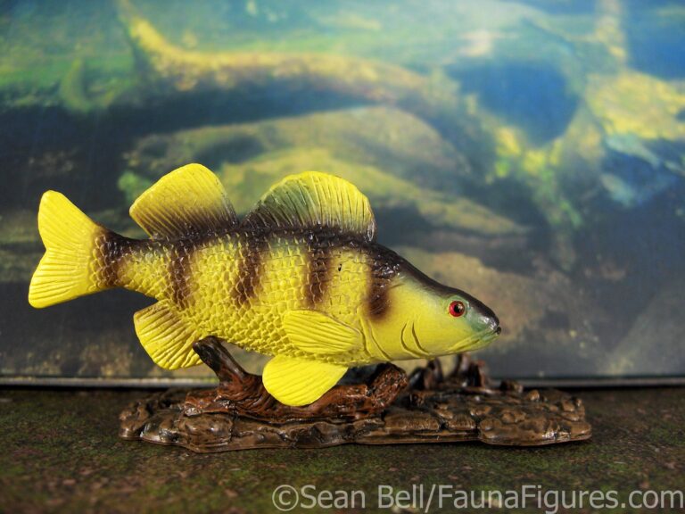 Read more about the article Vault tales 81 Replica Toy Fish Yellow Perch