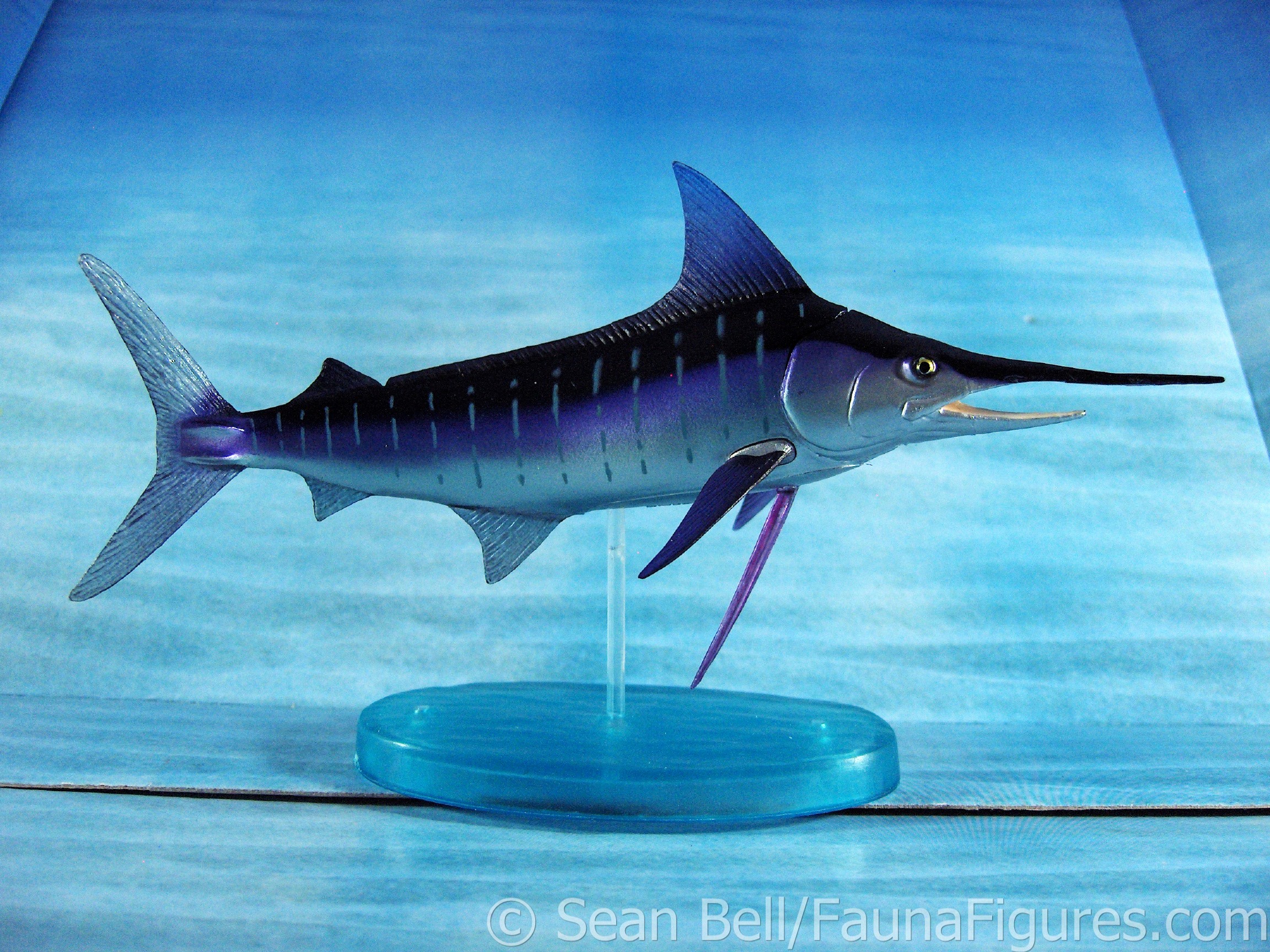 Read more about the article Vault tales 74 Colorata Striped Marlin