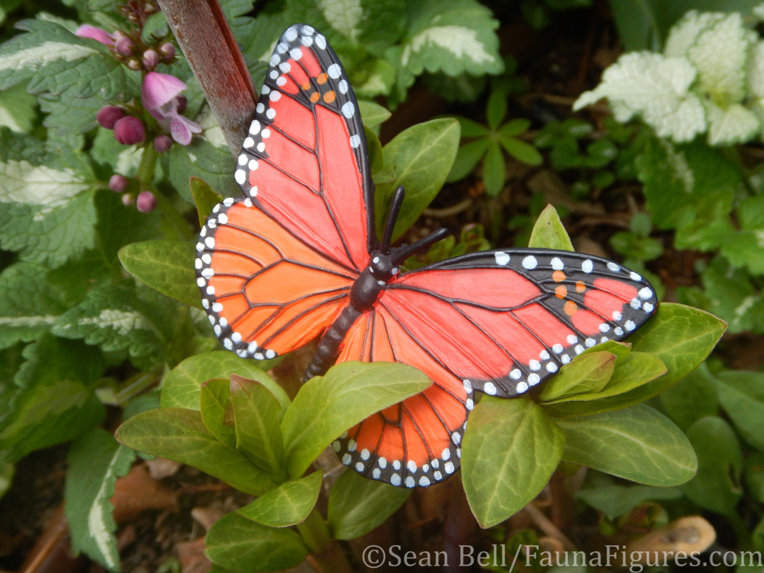 Read more about the article Vault Tales Run the Set 115 Safari Monarch Butterfly Life Cycle