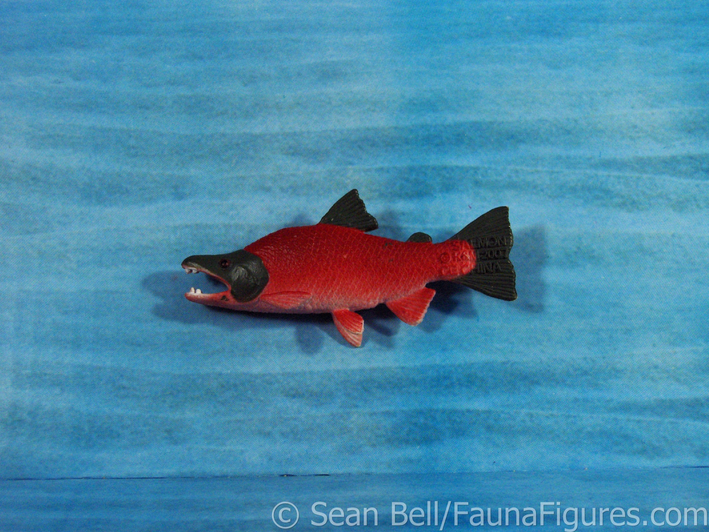 Read more about the article Vault tales 16 Wild Republic Sockeye Salmon