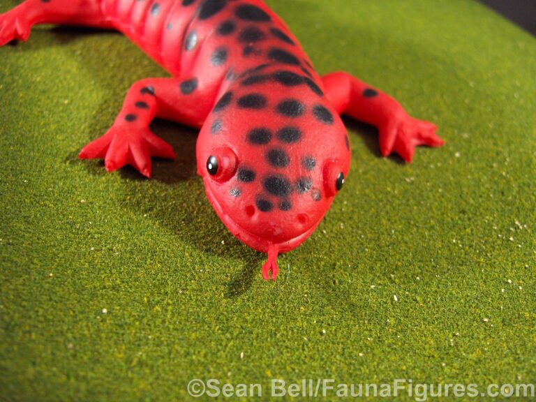 Read more about the article Vault tales #28 K&M International Red Salamander