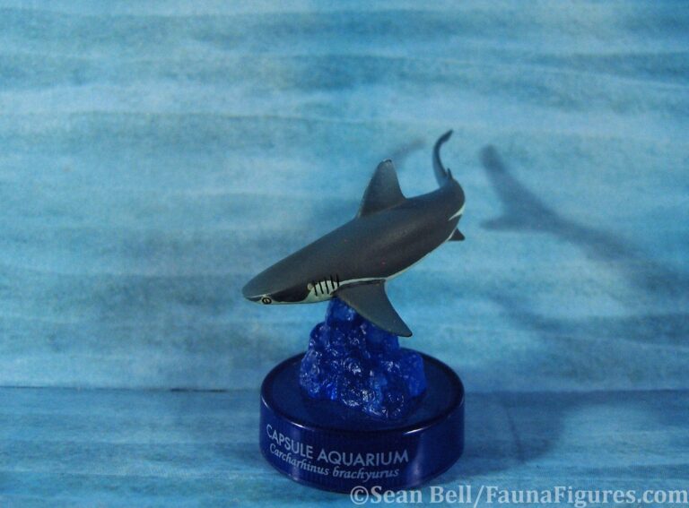 Read more about the article Vault Tales 95 Kaiyodo Capsule Aquarium Bronze Whaler Shark