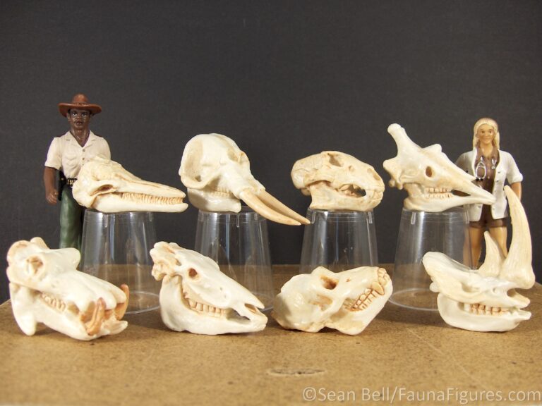 Read more about the article Vault Tales Run the Set 101 Safari Mammal Skulls toob