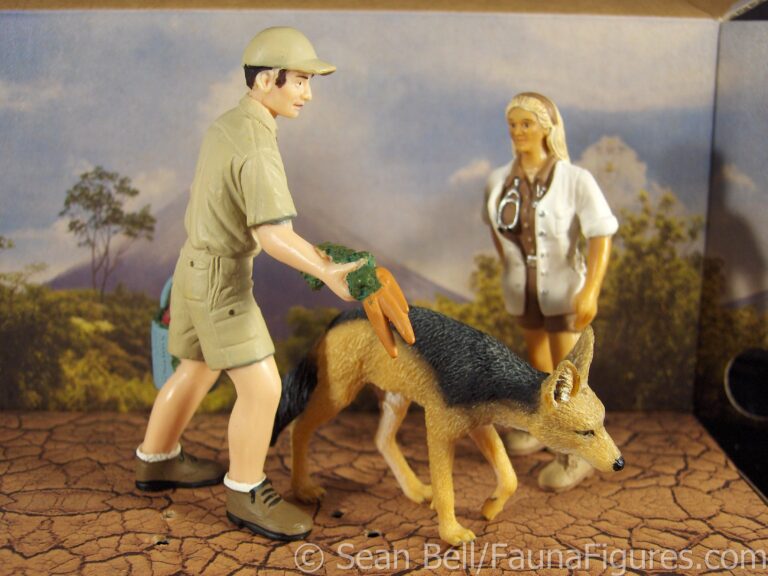 Read more about the article Vault Tales 12 CollectA Black-backed Jackal