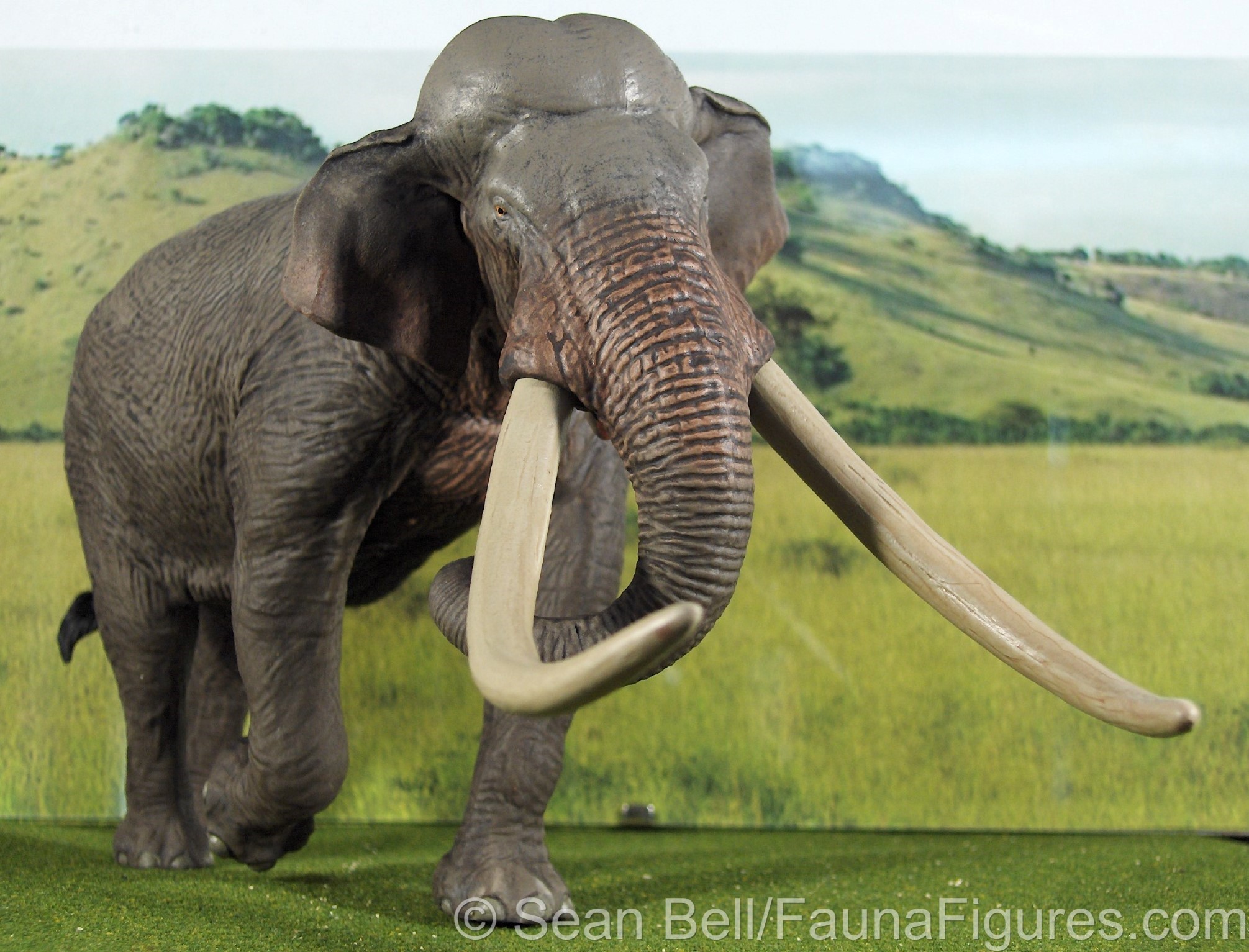 Read more about the article Vault tales 72 EoFauna Straight-Tusked Elephant Palaeoloxodon