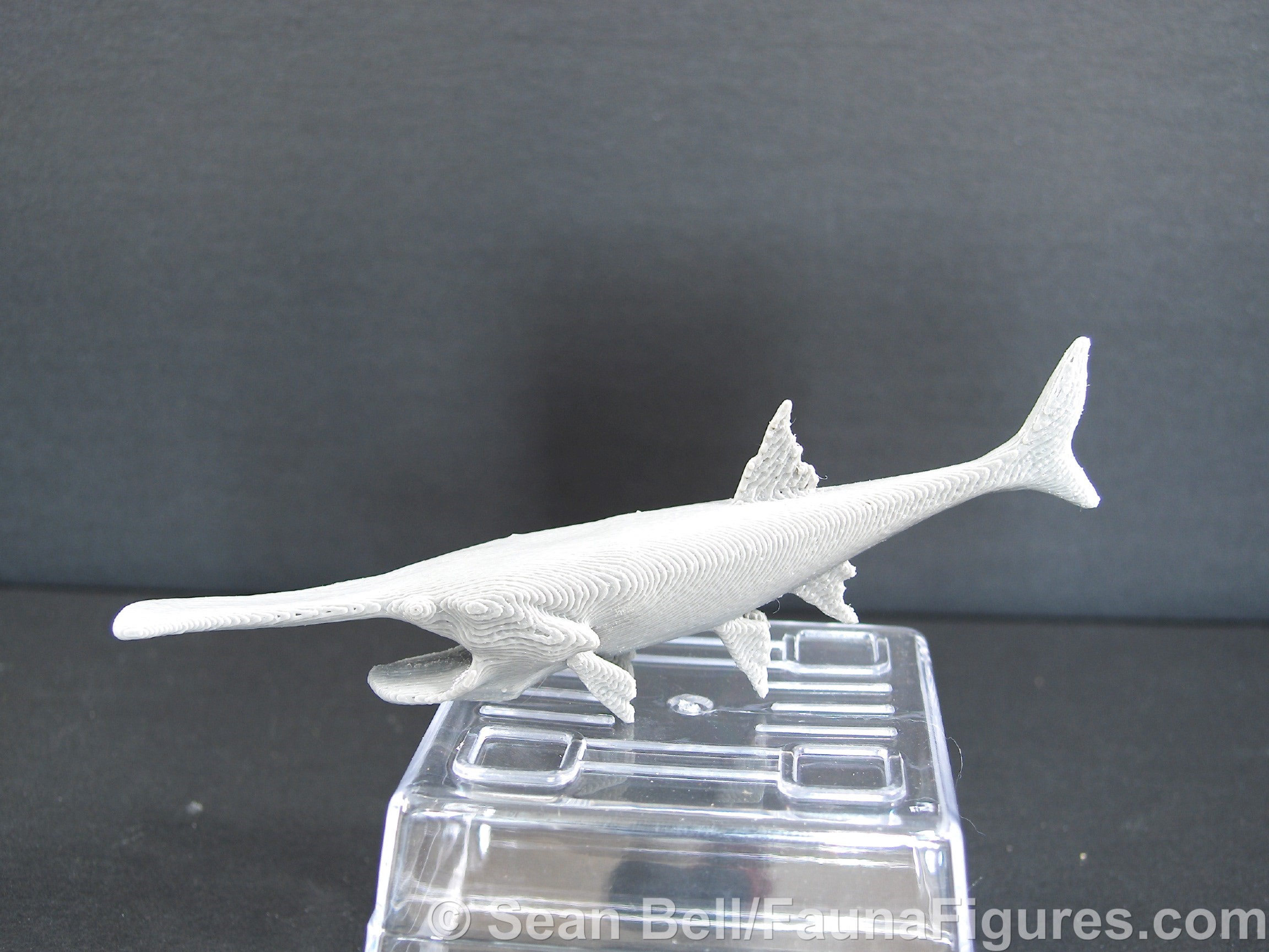 Read more about the article Vault Tales 45 Shapeways 3D Paddlefish