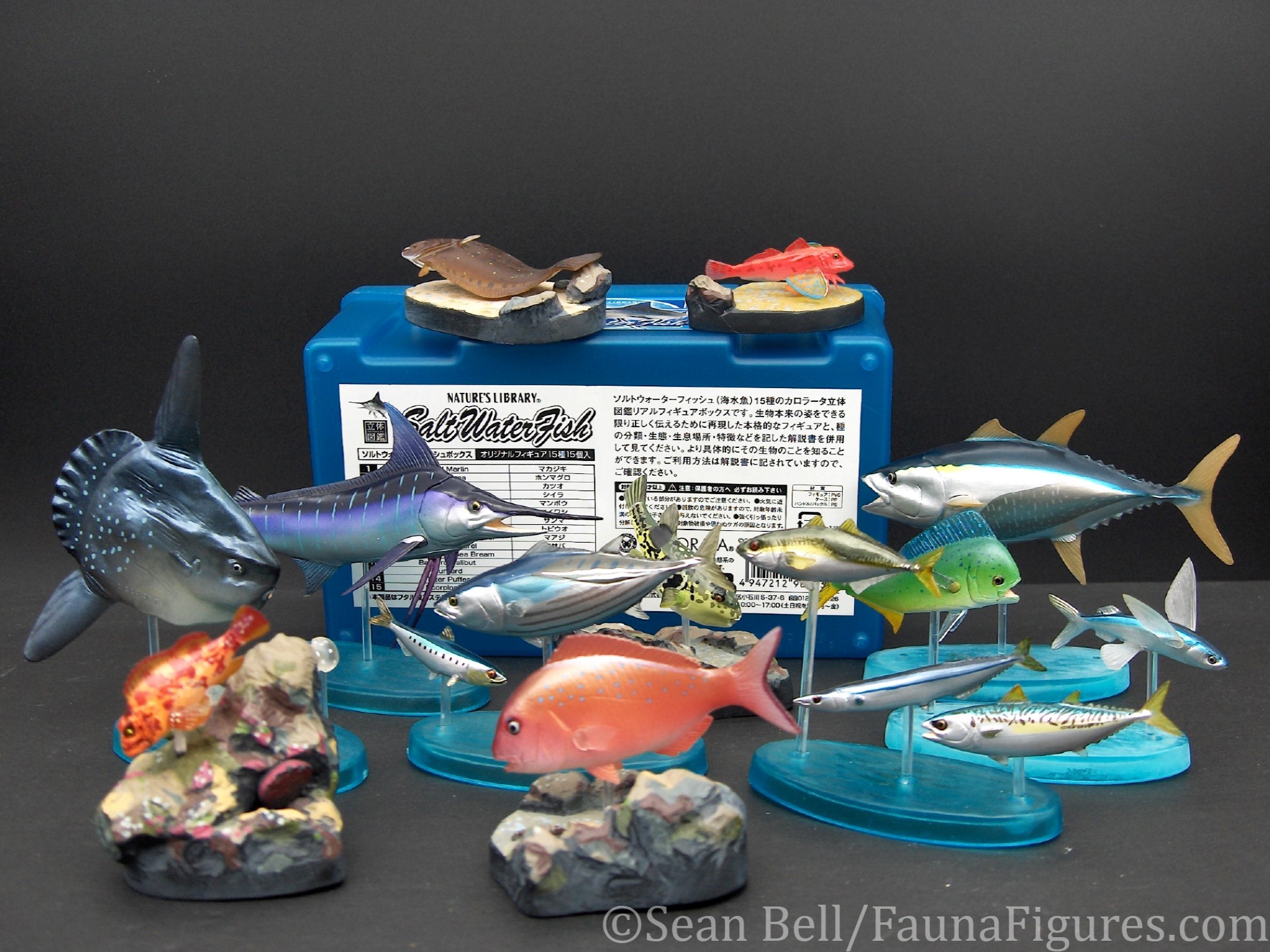 Read more about the article Vault tales Run the Set 138 Colorata Saltwater Fish box (original)