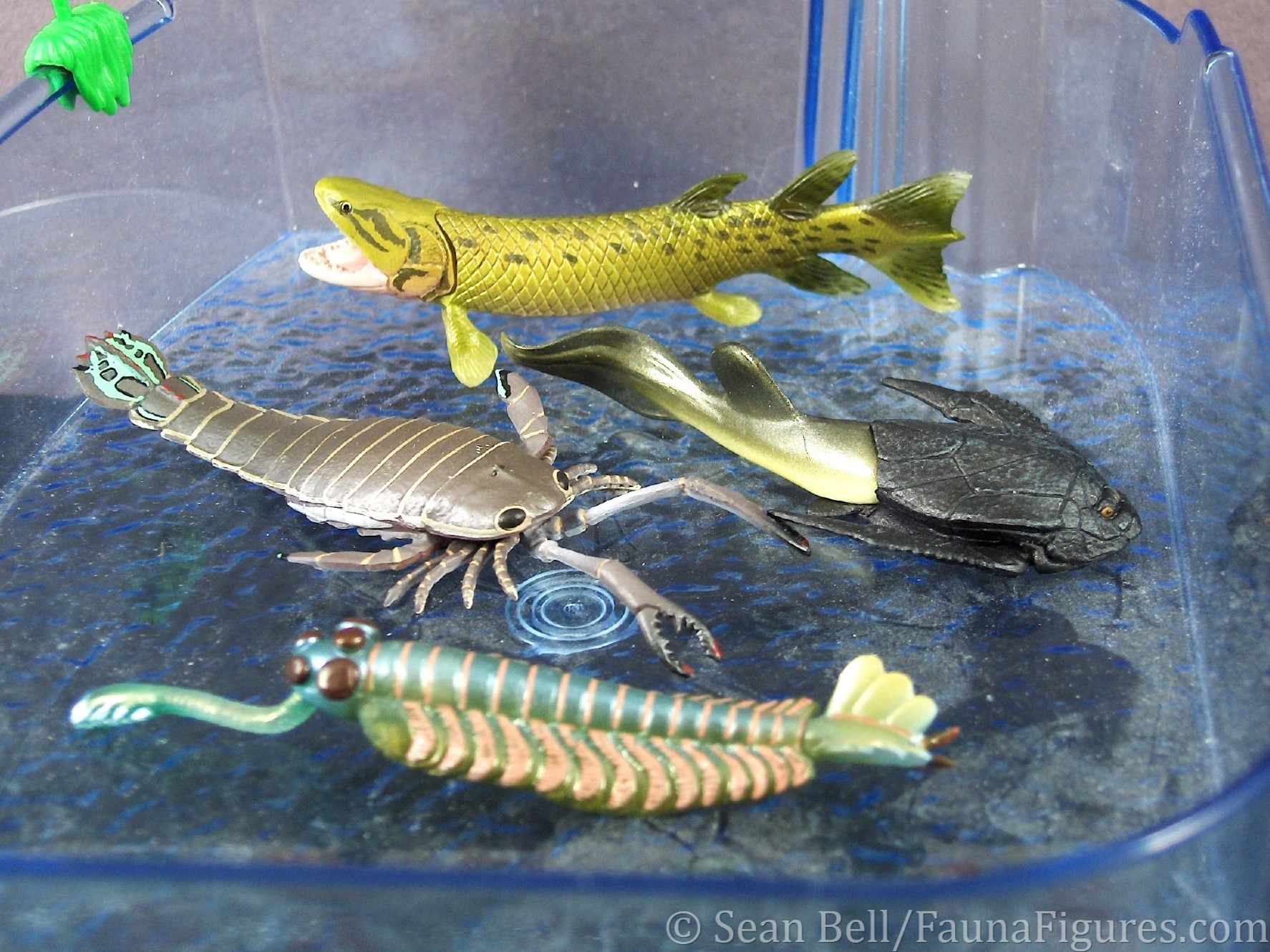 Read more about the article Vault tales Run the Set 135 Kaiyodo CapsuleQ Palaeozoic