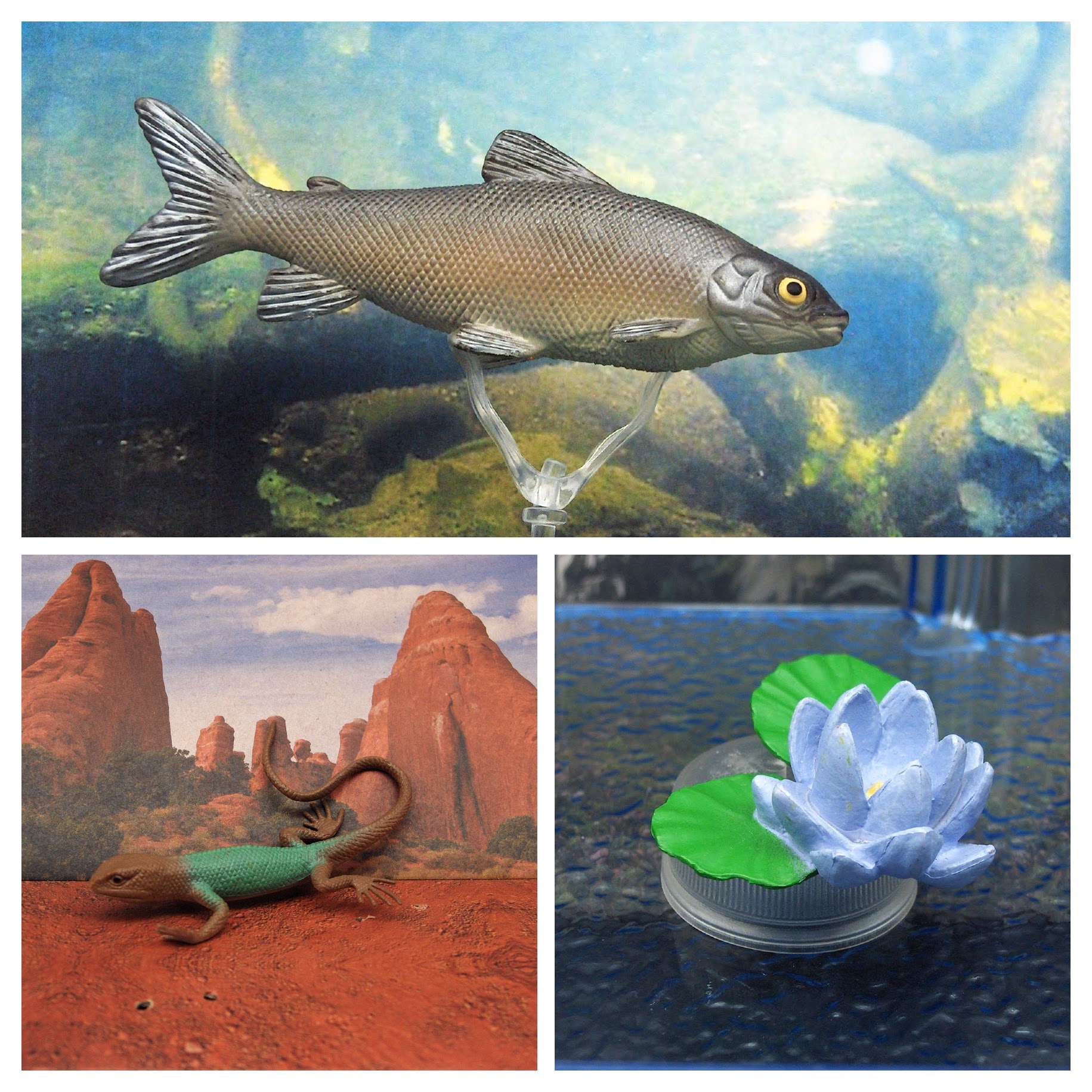 Read more about the article Vault Tales 136 ToyTrio Lotus Flower, Blue Spiny Lizard, Powan