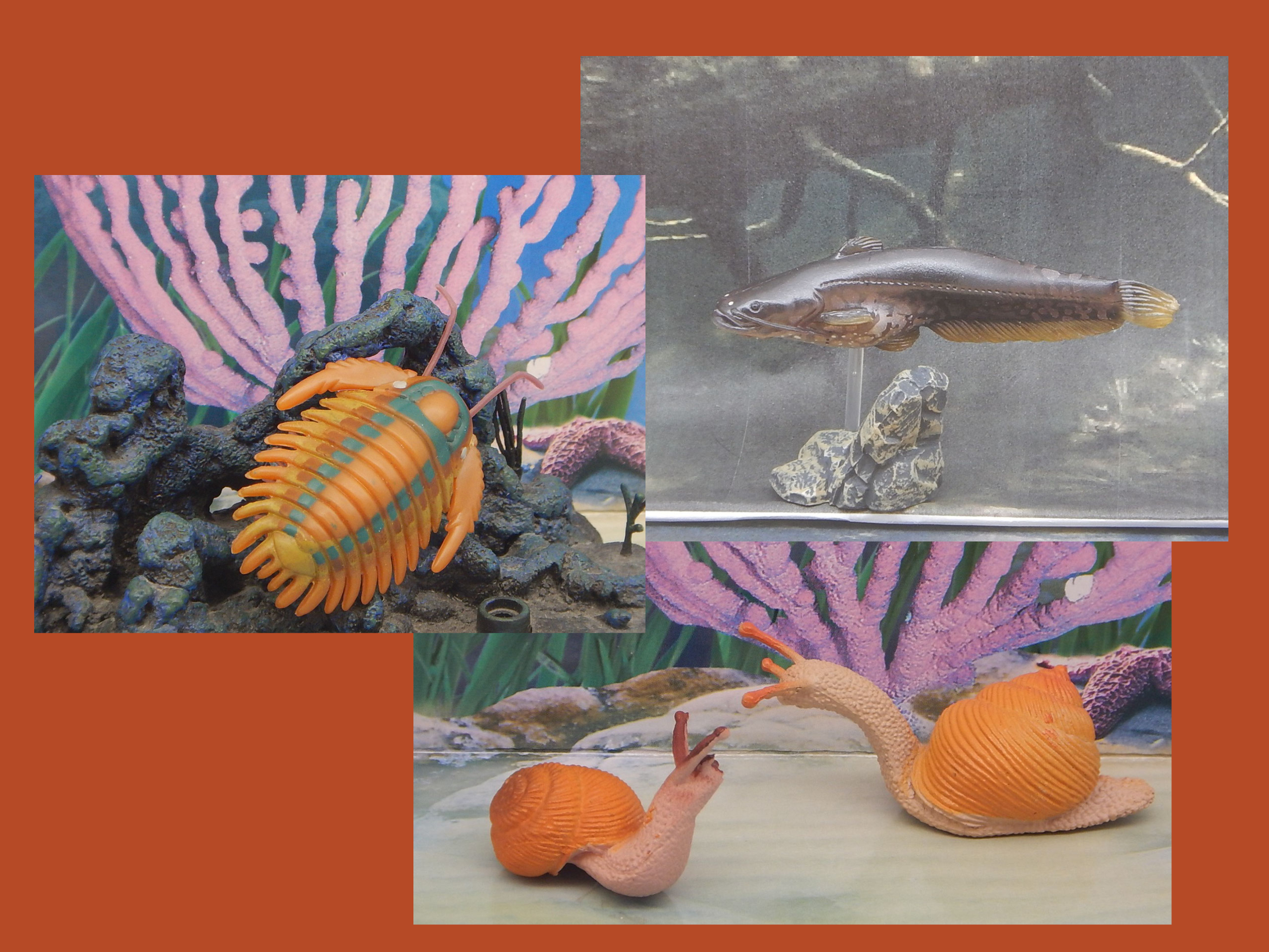 Read more about the article Vault Tales 164 ToyTrio Snail, Amur catfish, Trilobite