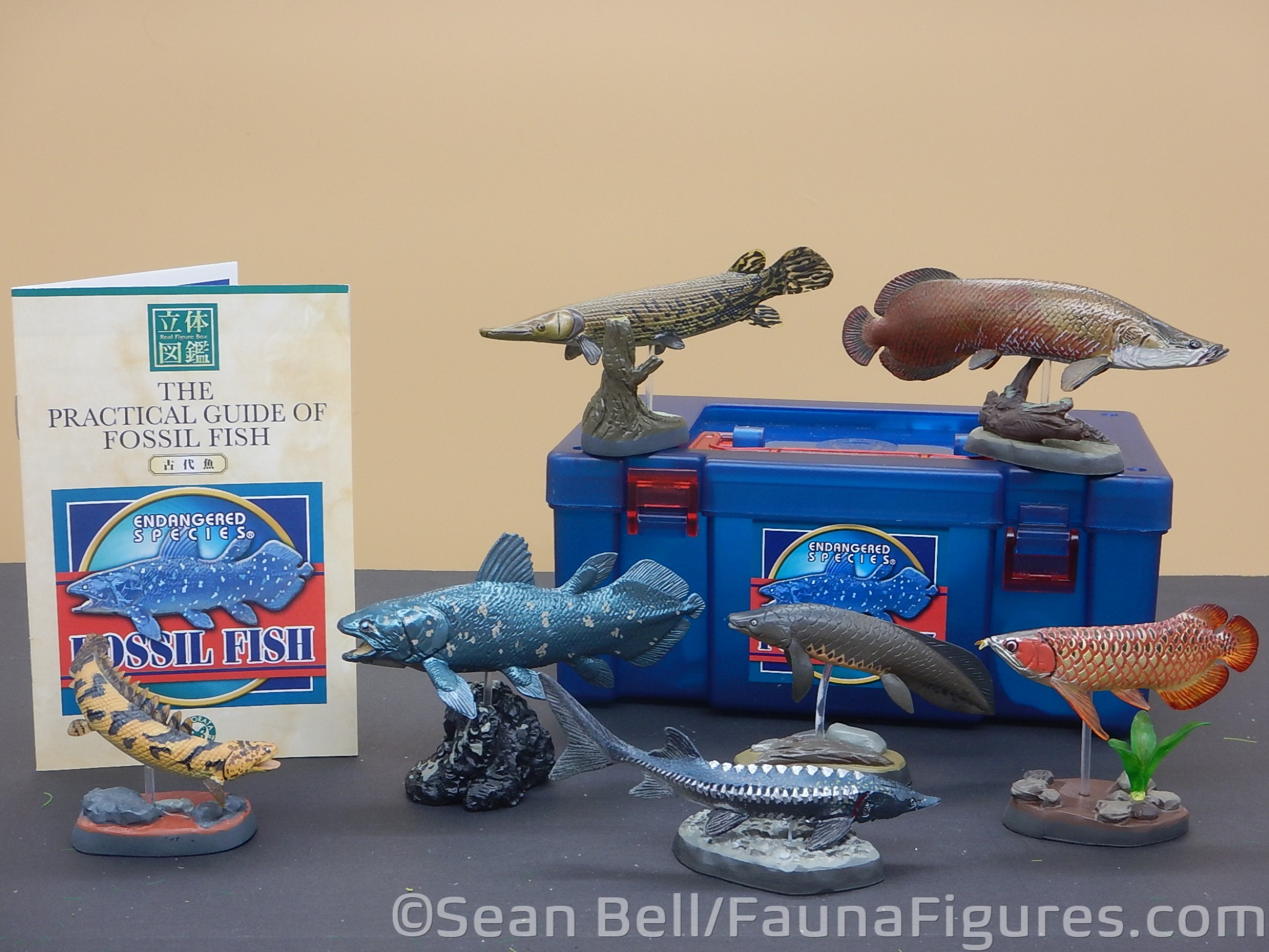 Read more about the article Vault Tales 180 Run the Set Colorata Endangered Species Fossil Fish Box (2nd version)