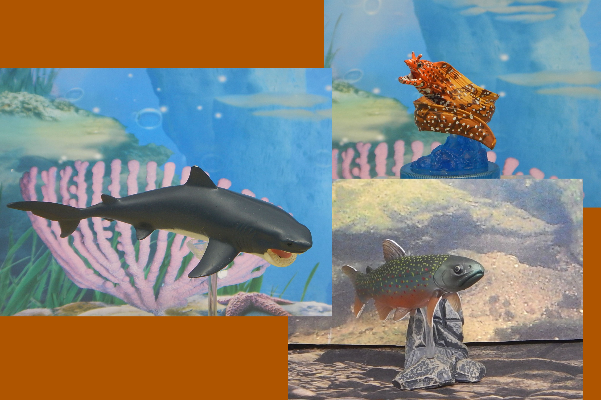 Read more about the article Vault Tales 170 ToyTrio Cretoxyrhina, Dragon Moray, Dolly Varden