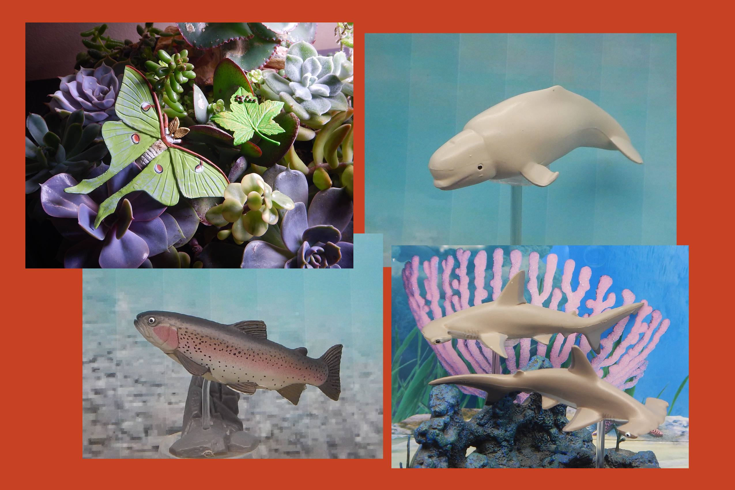 Read more about the article Vault Tales 190 FigureFrenzy Hammerhead sharks, Rainbow trout, Beluga Whale, Luna moths