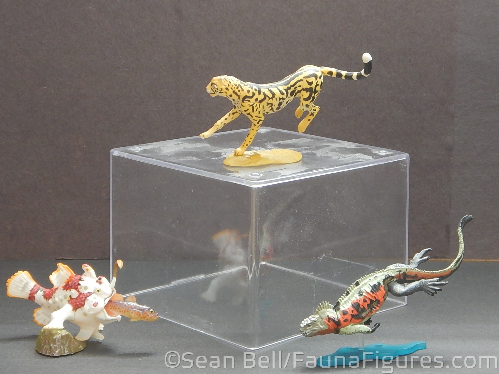 Read more about the article Vault Tales 198 Run the Set Kaiyodo Takara ChocoQ Amazing Animals