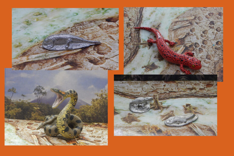 Read more about the article Vault Tales 210 FigureFrenzy Anaconda, Salamander, Eryops, Stagonolepis