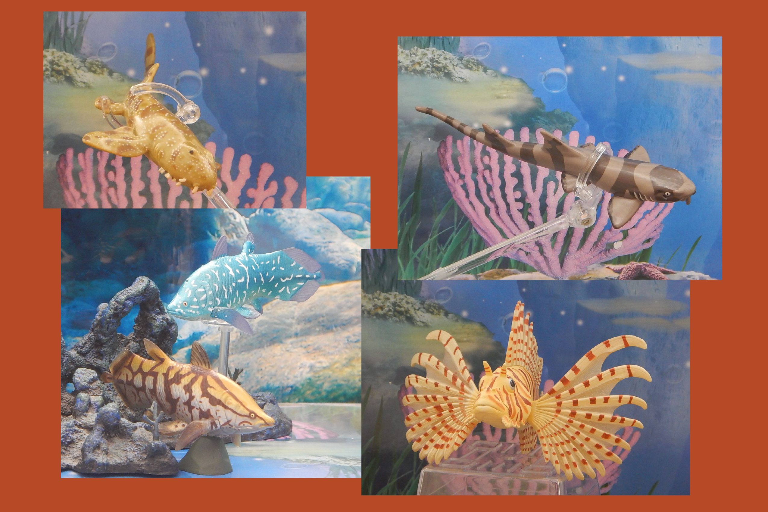 Read more about the article Vault Tales 213 FigureFrenzy Lionfish, Bamboo shark, Wobbegong, Axelrodichthys