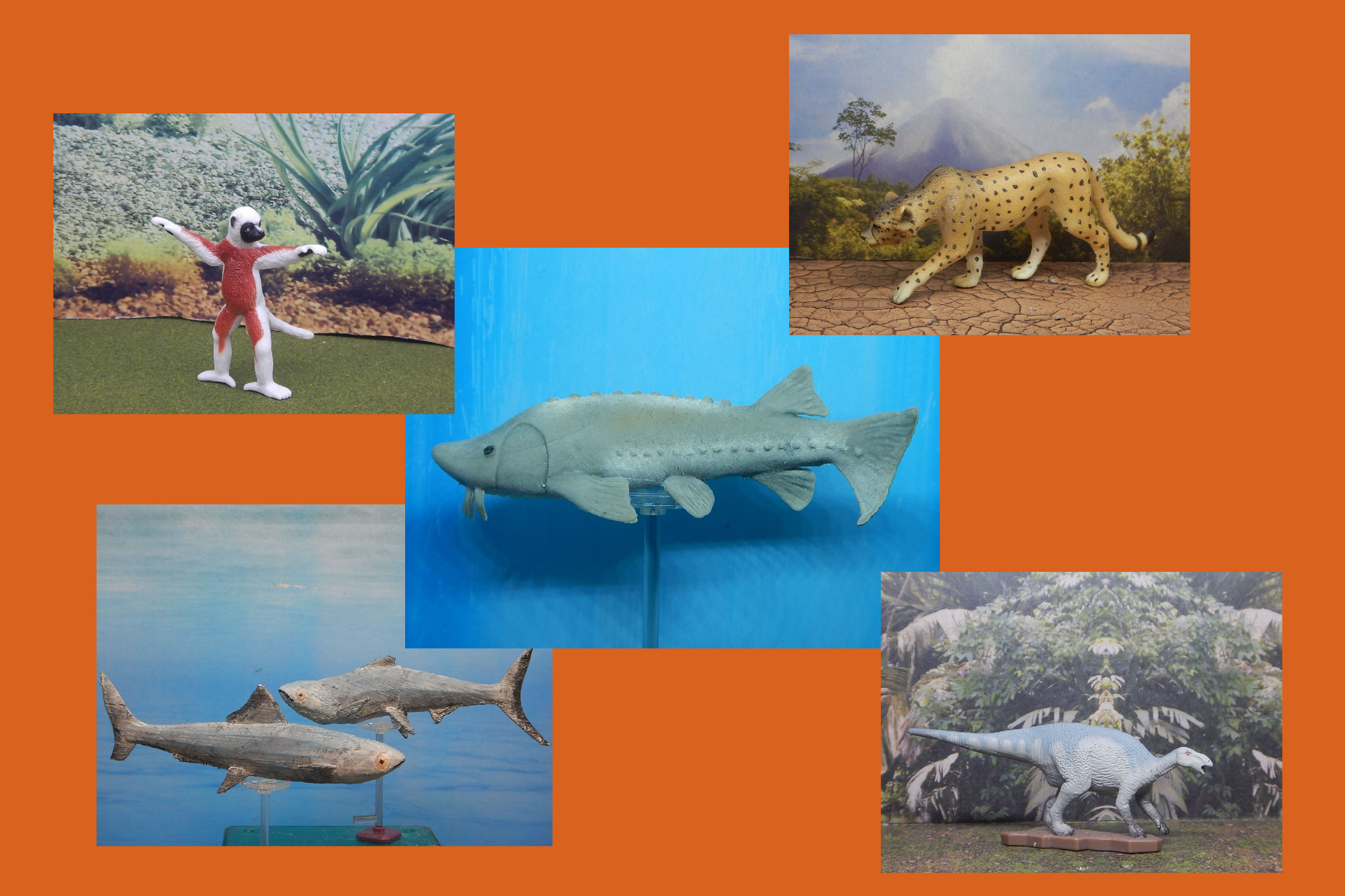 Read more about the article Vault Tales 227 FigureFrenzy Cheetah, Iguanodon, Milkfish, Sifaka, Sturgeon