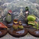 Vault Tales 237 Run the Set Takara TOMY Carnivorous Plants