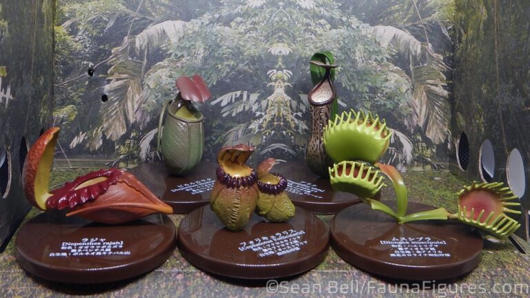 Read more about the article Vault Tales 237 Run the Set Takara TOMY Carnivorous Plants