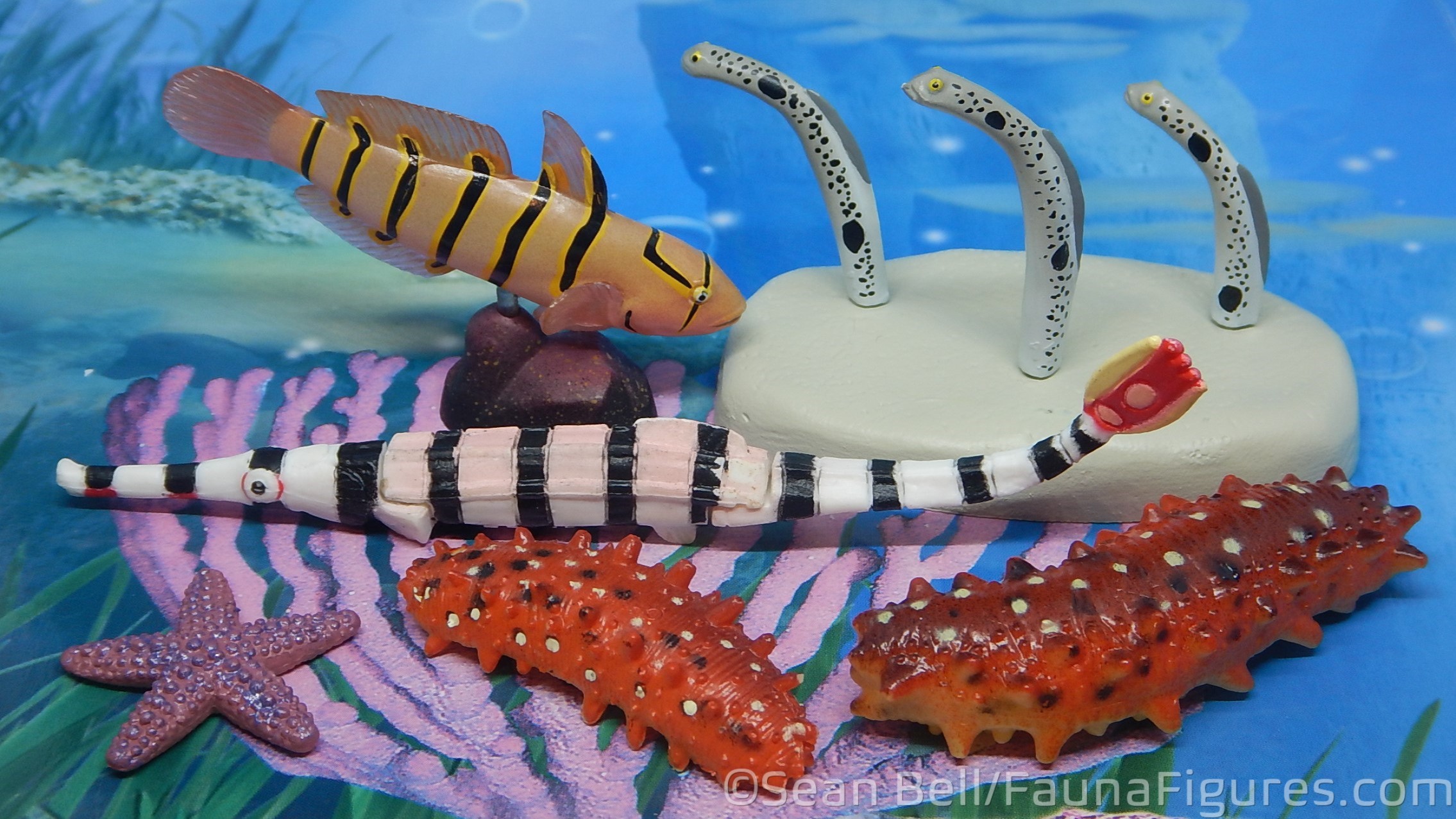 Read more about the article Vault Tales 245 FigureFrenzy Sea Cucumber, Sea Star, Pipefish, Garden eels, Goby