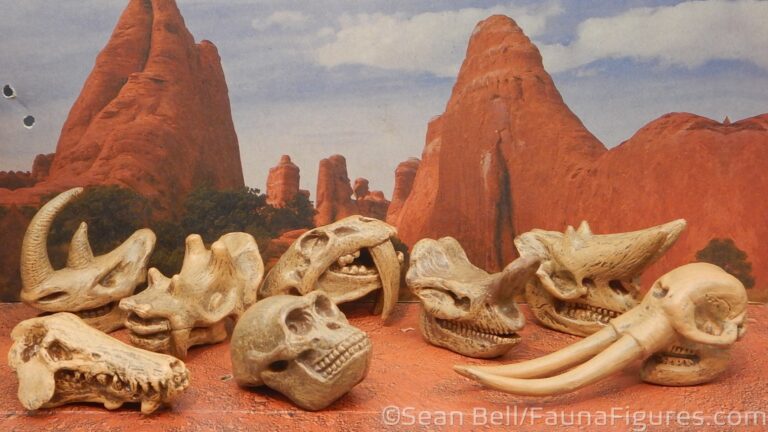 Read more about the article Vault Tales 248 Run the Set Safari Ltd Prehistoric Mammal Skulls toob