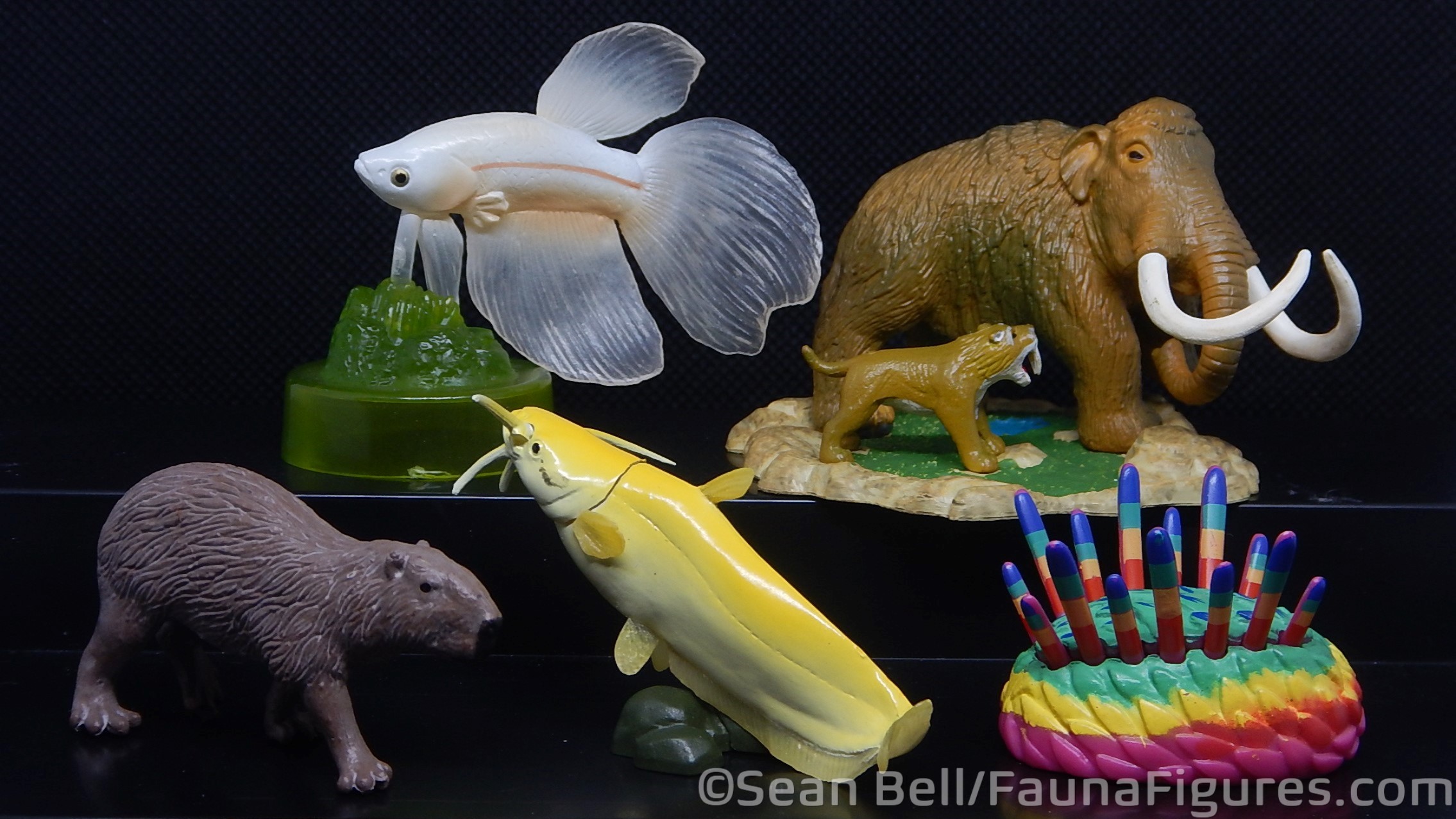 Read more about the article Vault Tales 255 FigureFrenzy Betta, Capybara, Catfish, Wiwaxia, Mammoth+Smilodon