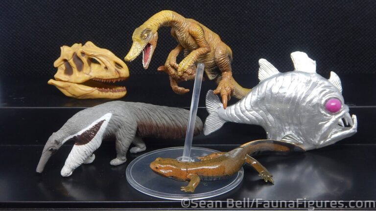 Read more about the article Vault Tales 257 FigureFrenzy Anteater, Hatchetfish, Velociraptor, Allosaurus, Salamander