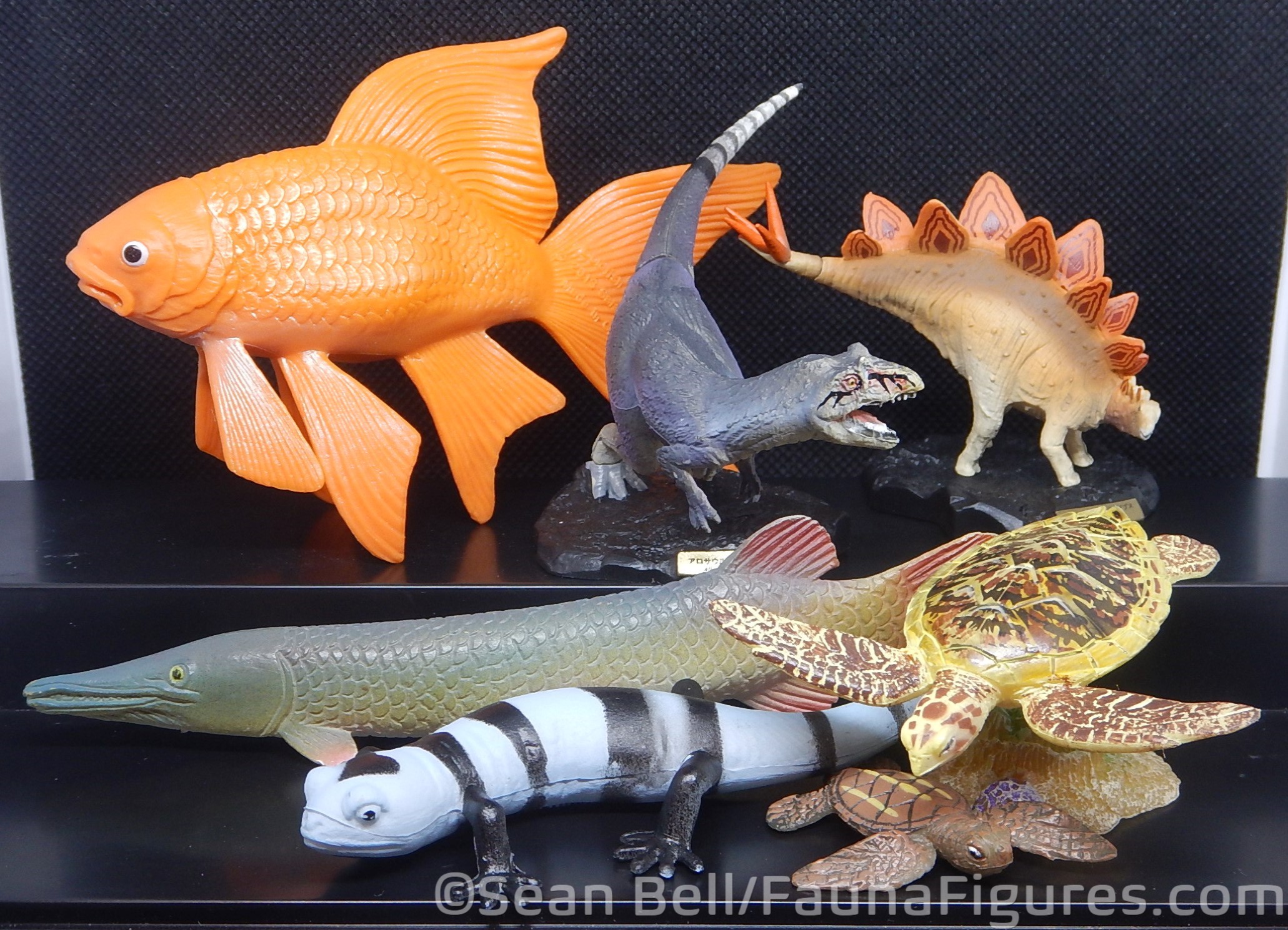 Read more about the article Vault Tales 260 FigureFrenzy Stegosaurus+Allosaurus, Goldfish, Sea turtles, Salamander, Gar