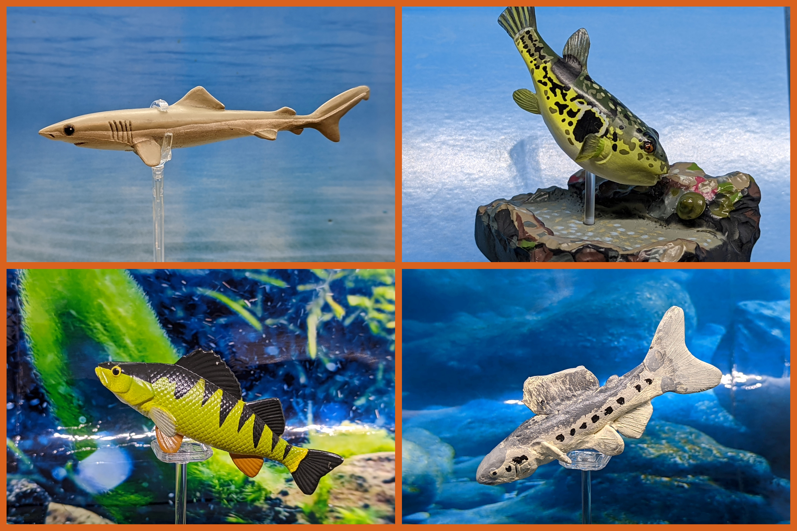 Read more about the article Vault Tales 271 FigureFrenzy Pufferfish, TroutPerch, Perch, Crocodile shark