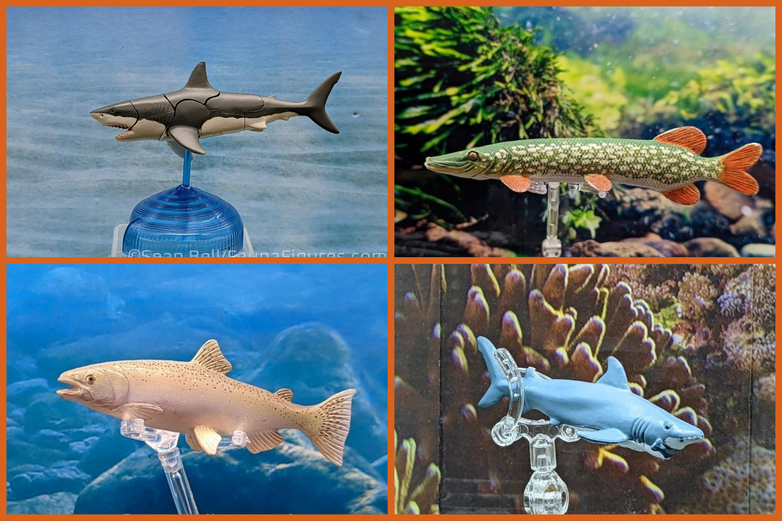 Read more about the article FigureFrenzy 293 Pike, Salmon, Reef shark, White shark