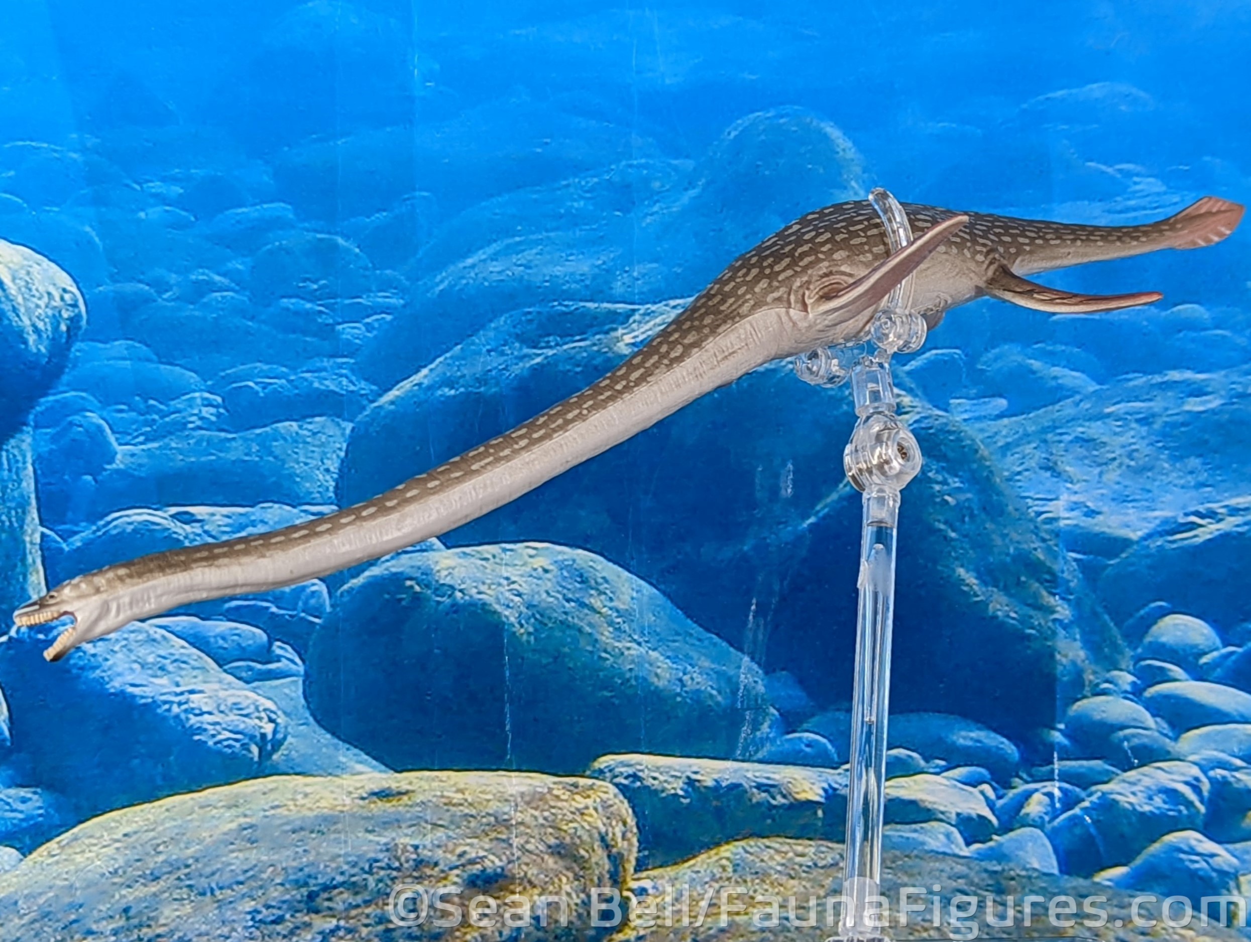 Read more about the article FigureFocus 301 CollectA Elasmosaurus