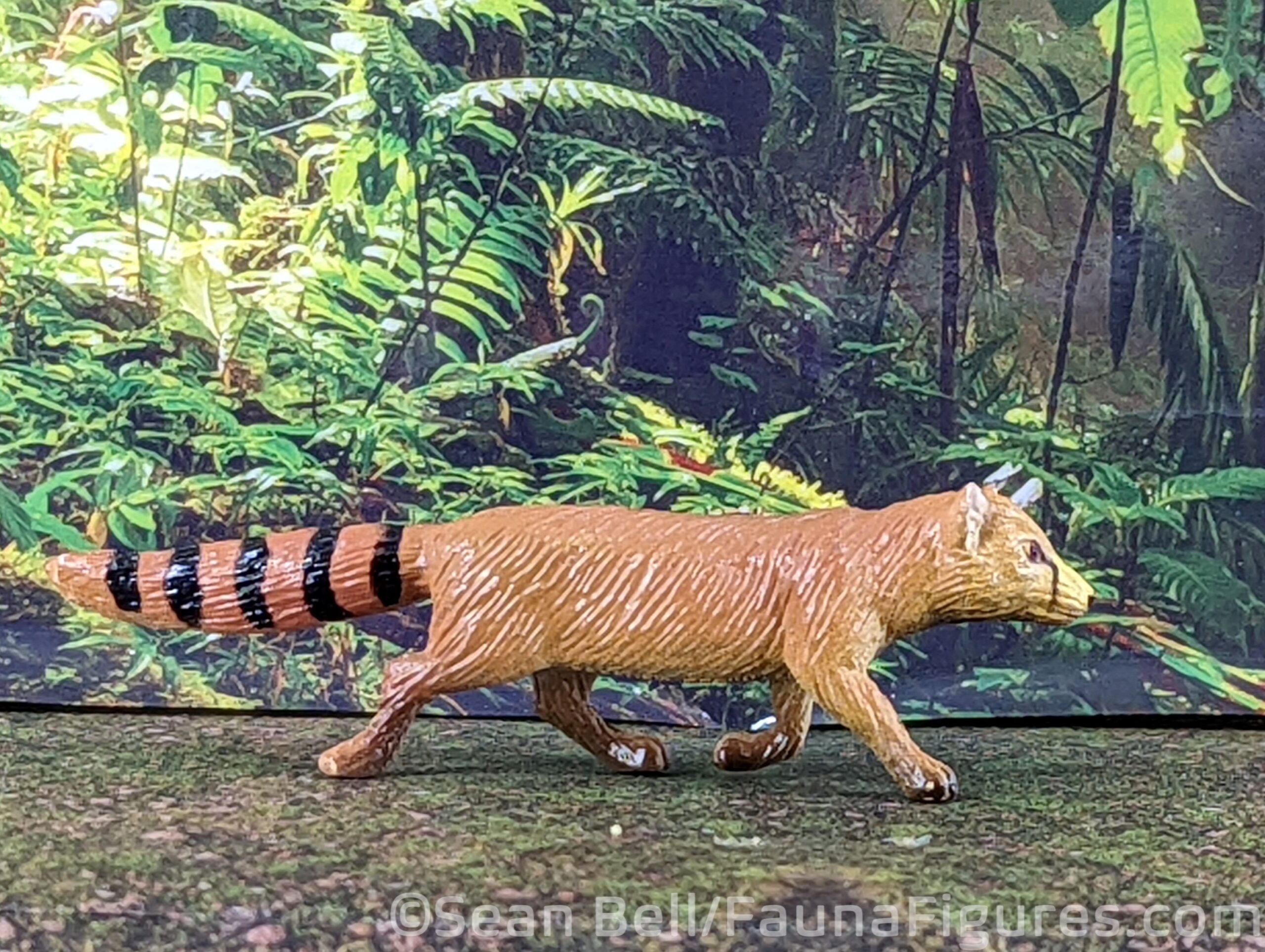 Read more about the article FigureFocus 304 Play Visions Ring-Tailed Vontsira